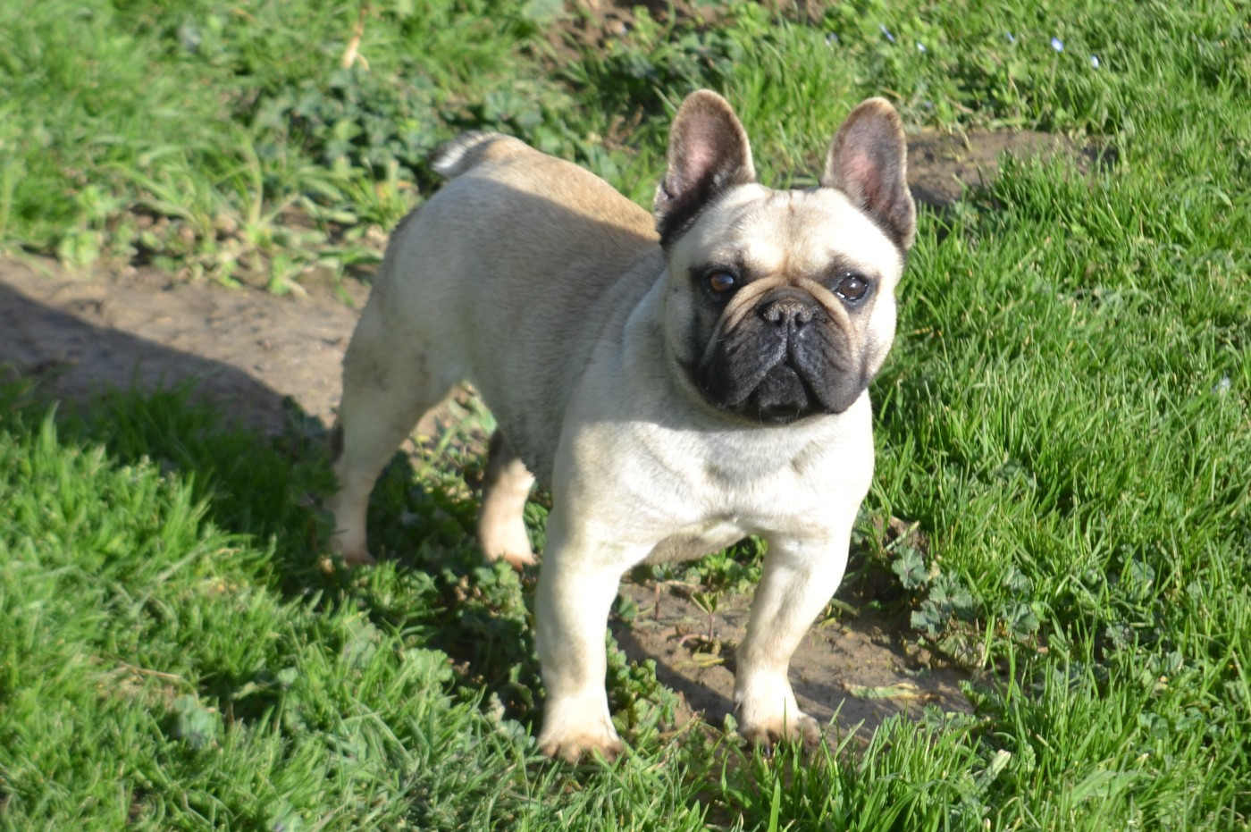 valentina De La Cour De Mimali